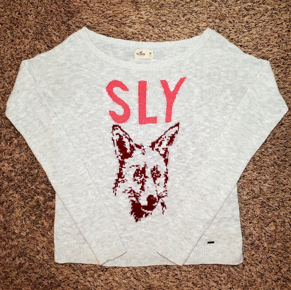 Hollister Sly Fox Gray Knit Lightweight Sweater Medium